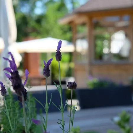 Appartamento Floesser-heimat - Ruhige Lage Inmitten Der Baiersbronn